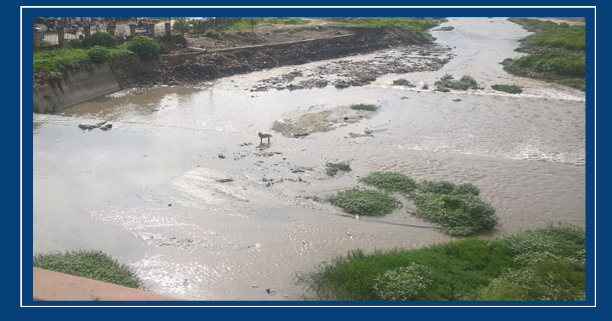 सशस्त्रले गर्‍यो बाग्मती नदीमा अड्किएकाको उद्धार